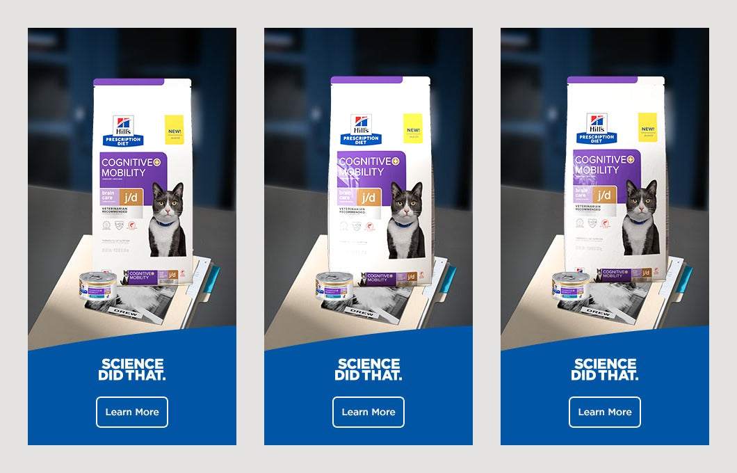 Three 300 by 600 display banner layouts, each with one of the three bags above a blue panel