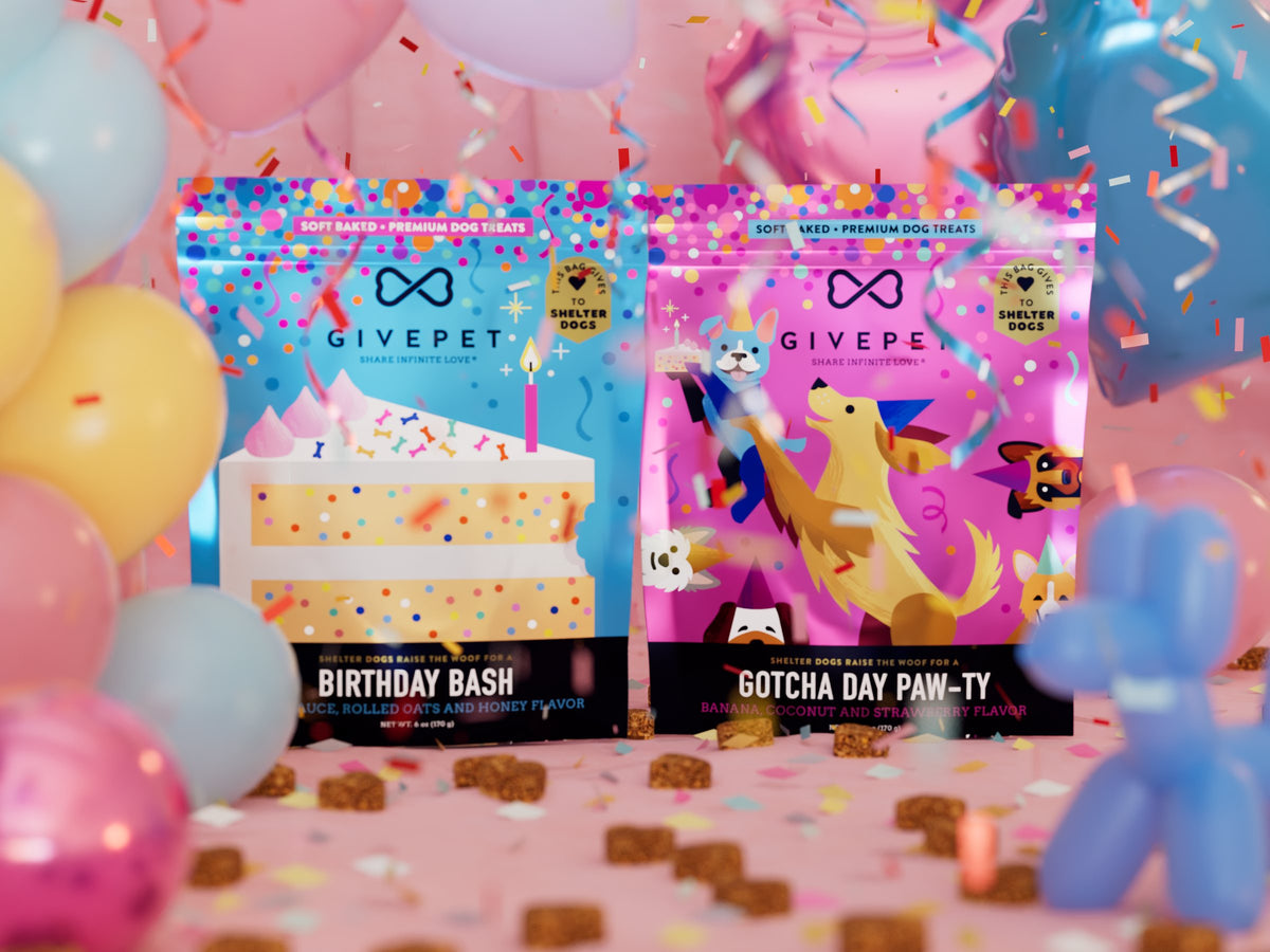 GivePet Seasonal Suites