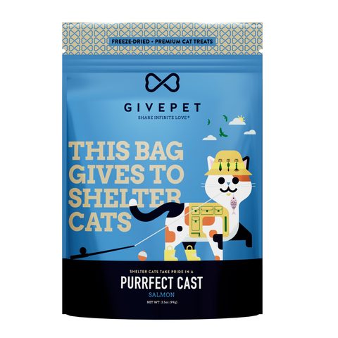 Purrfect Cast pouch, front