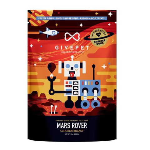 Mars Rover pouch, front