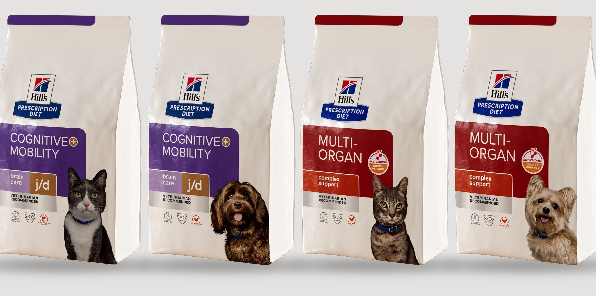Four Prescription Diet 4 lb bags standing in a row on light grey: Cognitive + Mobility in purple for cats and dogs, Multi-Organ in red for cats and dogs